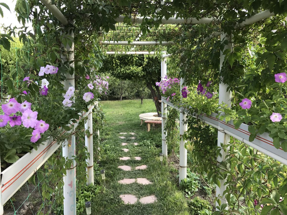 Ashot & Gohar B&B Chʼiva Εξωτερικό φωτογραφία