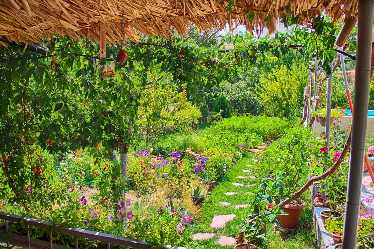 Ashot & Gohar B&B Chʼiva Εξωτερικό φωτογραφία